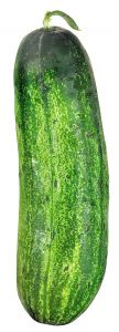 Health Benefits of Cucumber