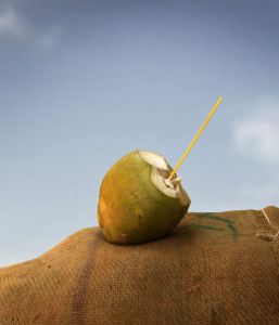 coconut water summer drink