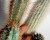 Top 10 Tips for Living with Chronic Pain