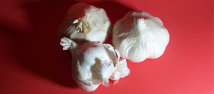 garlic