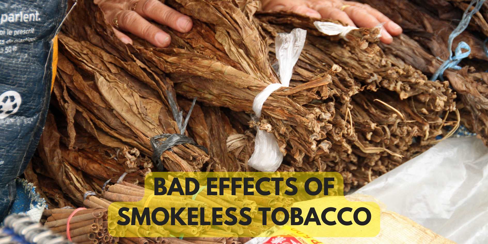 Bad Effects of Smokeless Tobacco