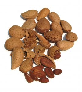 Almond Allergy