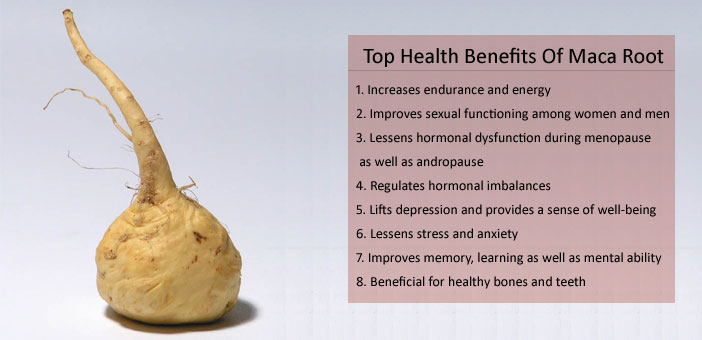 maca root benefits