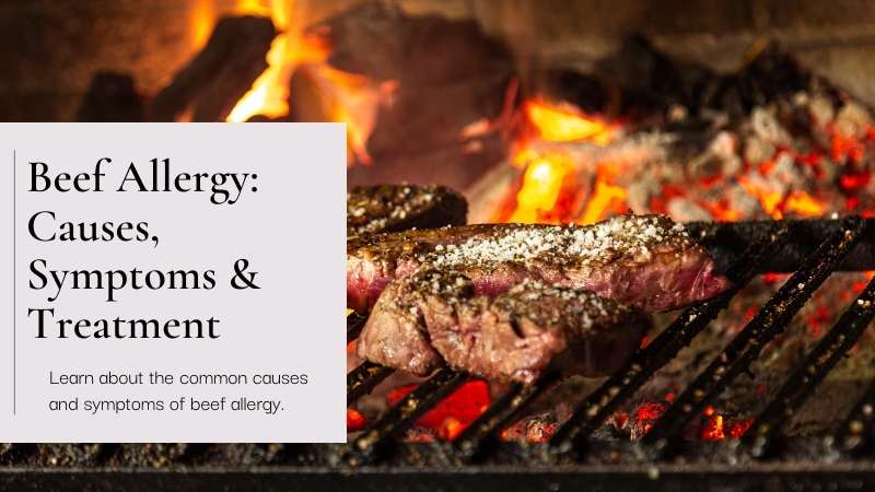 Beef Allergy Causes Symptoms Treatment