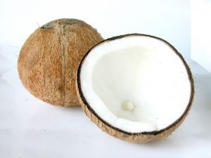 coconut fruit allergy