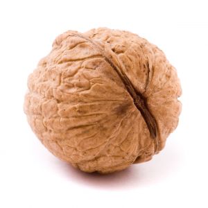 walnut allergy