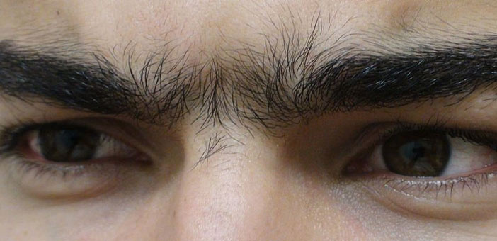 unibrow eyebrows