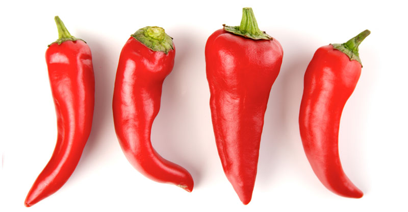 Chili Pepper Allergy
