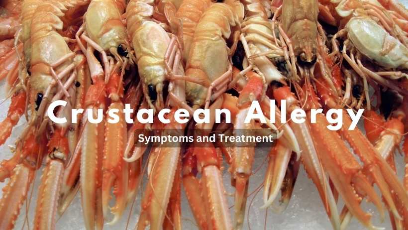 Crustacean Allergy