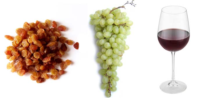 grape raisin wine allergy