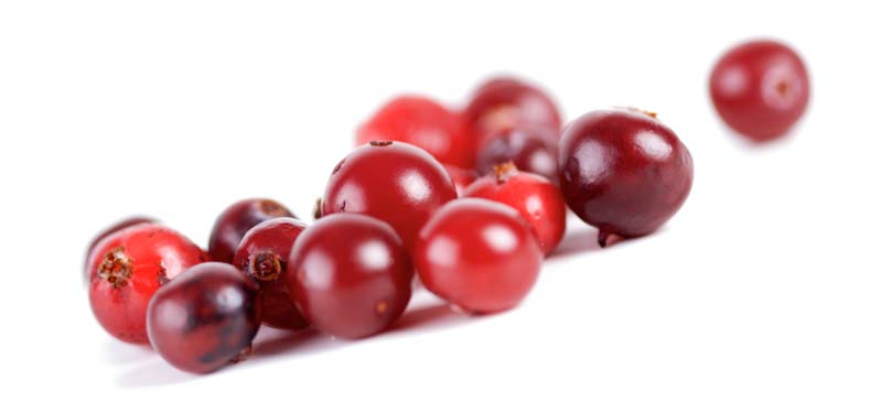 Health Benefits Cranberries