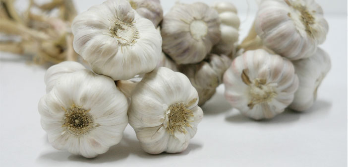 garlic heart cancer