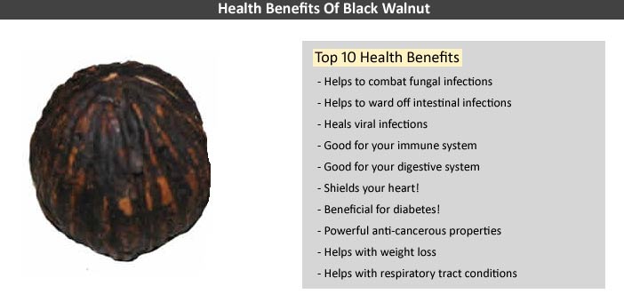 Health Benefits Black Walnuts