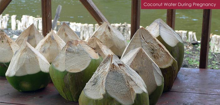 Coconut Water Pregnancy