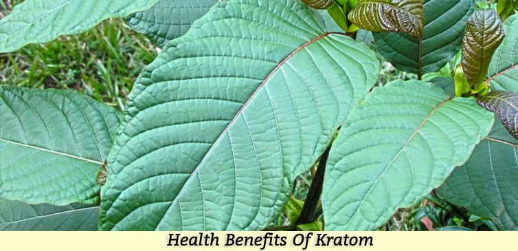 Health Benefits Kratom