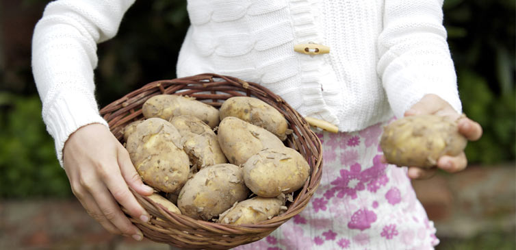 Irish Potatoes