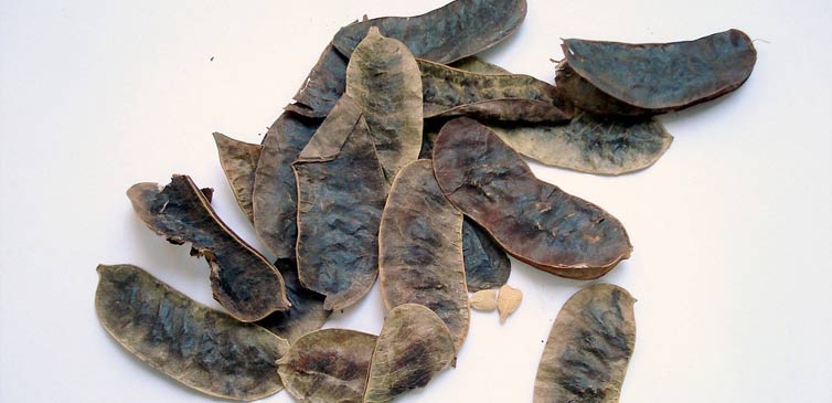 Cassia Seeds