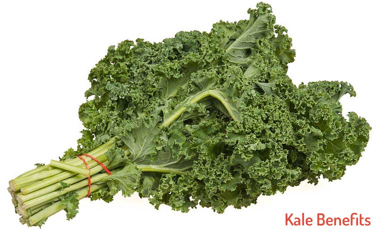 Kale Health Benefits