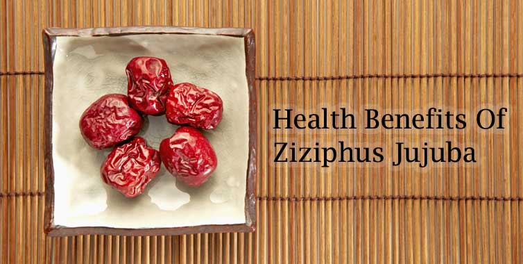 Ziziphus Jujuba Benefits