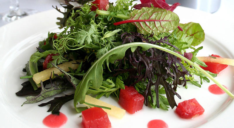 Wild Lettuce Salad