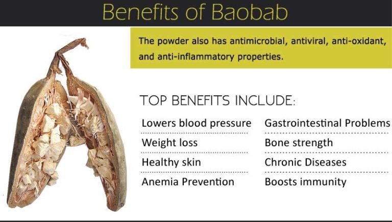 Baobab Benefits For Skin Weight Loss Blood Pressure Side Effects Baobab Benefits For Skin Weight Loss Blood Pressure Side Effects