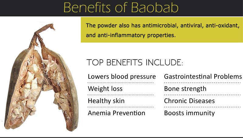 Baobab Health Benefits Infographic