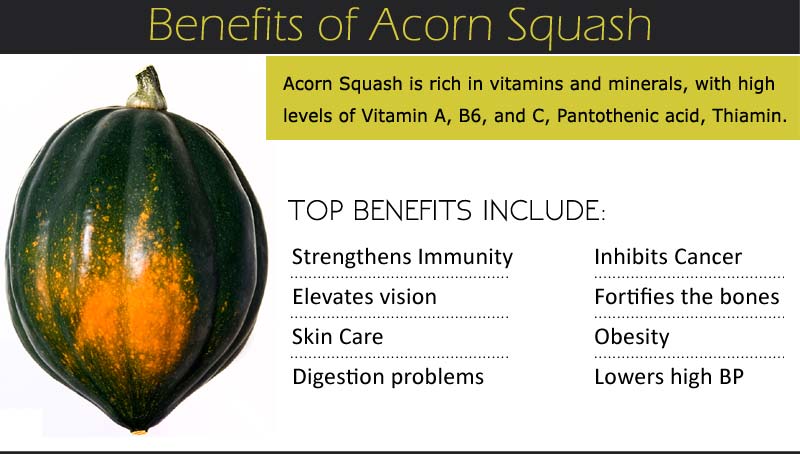 Acorn Squash Benefits