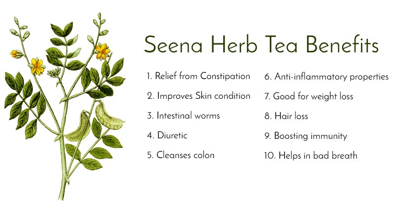 Seena Herb Tea Benefits