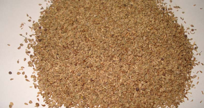 Ajwain Seed Benefits