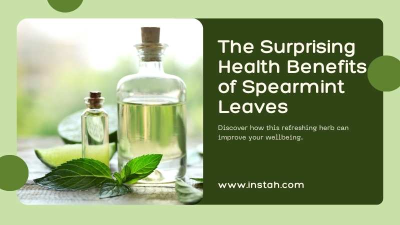 Benefits of Spearmint Leaves