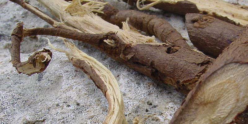 Liquorice root with bark