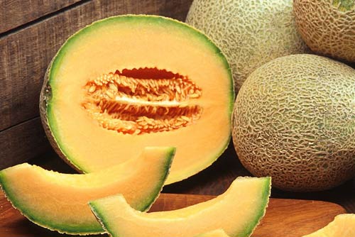 Cantaloupe Fruit