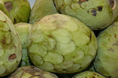 Cherimoya Fruit