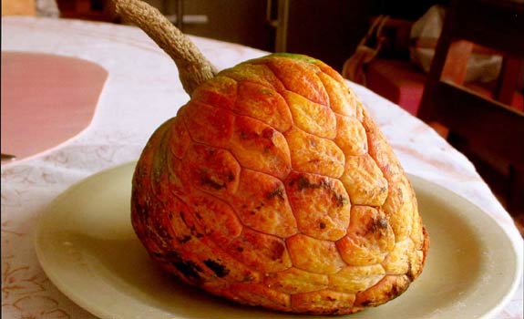 Ilama Fruit