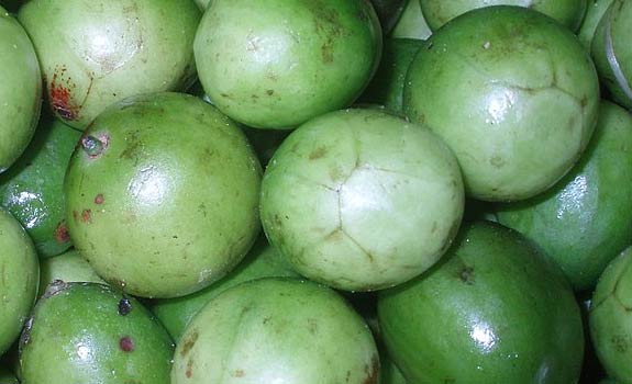 Imbu Fruit