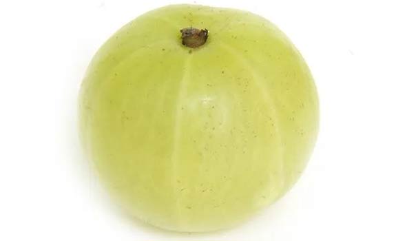 Indian Gooseberry