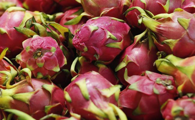 Dragon Fruit