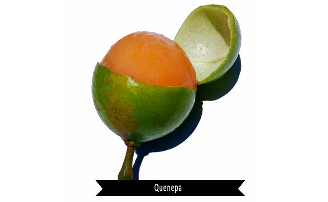 Quenepa Fruit