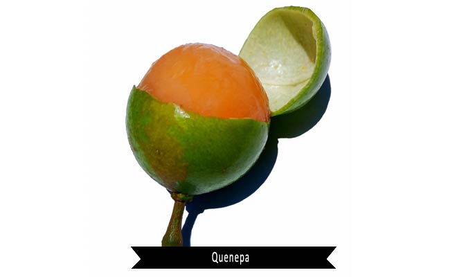 Quenepa Fruit