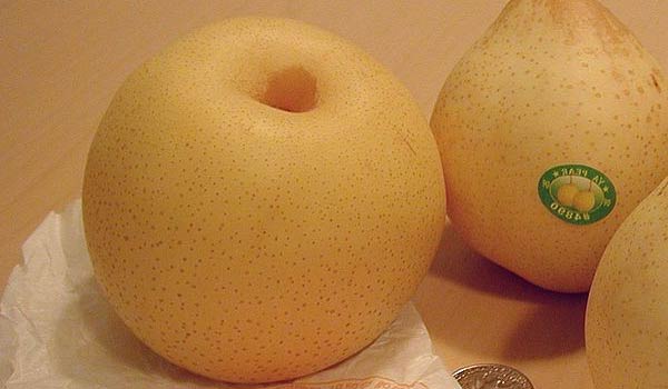 Ya Pear Fruit