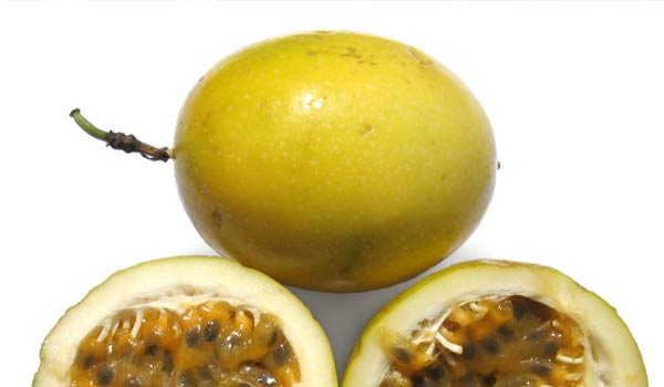 Yellow Passion Fruit