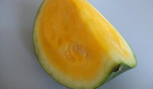 Yellow Watermelon Fruit