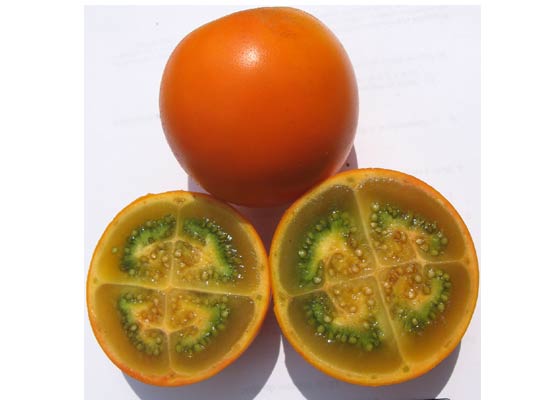Naranjilla Fruit