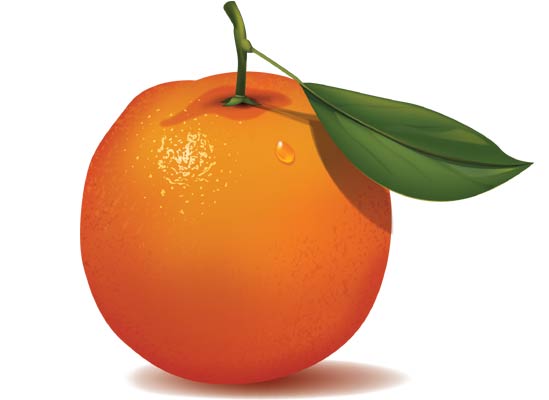 Navel Orange