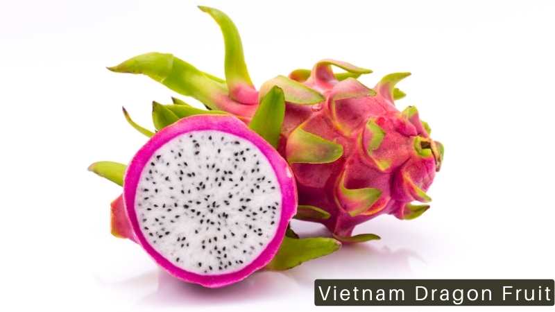 Vietnam Dragon Fruit