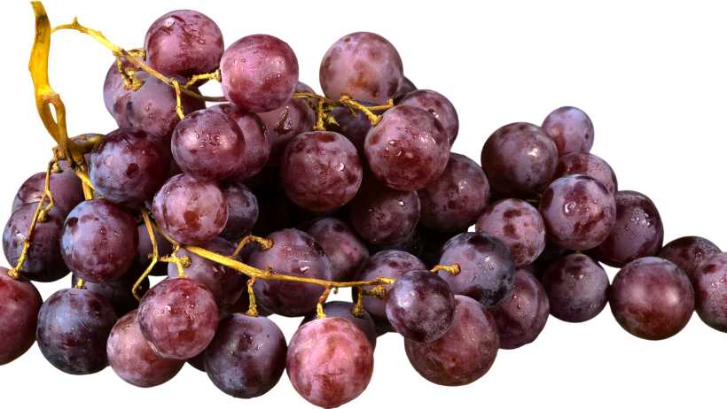 Uvalino Grape