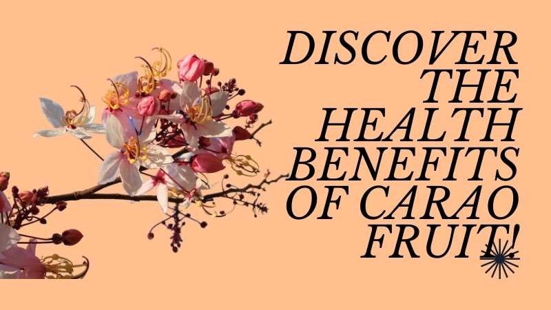 Benefits of Carao Fruit