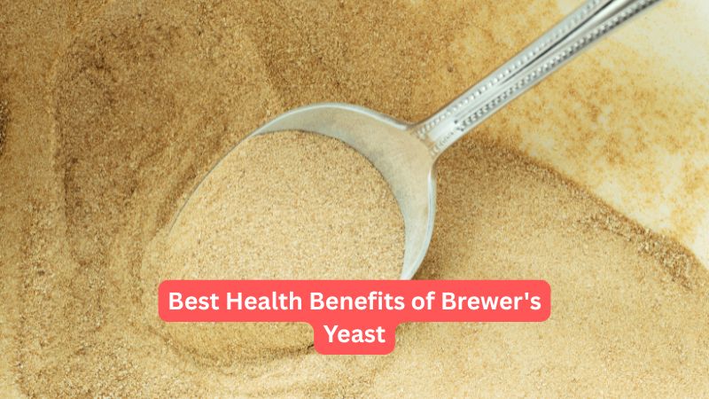 Health Benefits Brewers Yeast