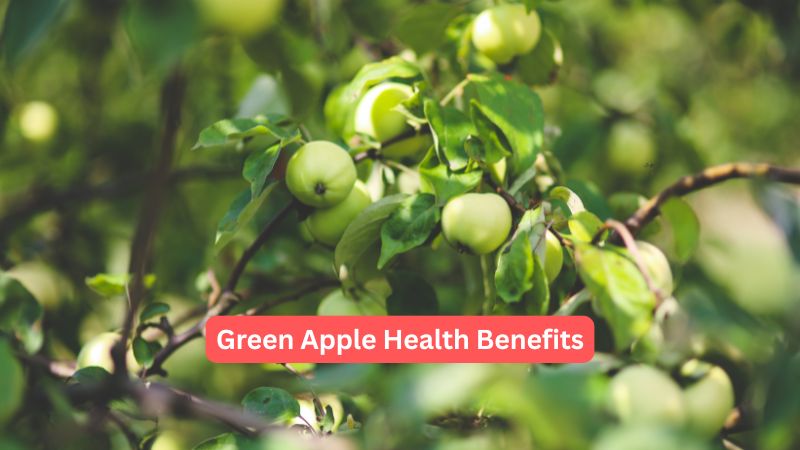 Green Apple Health Benefits